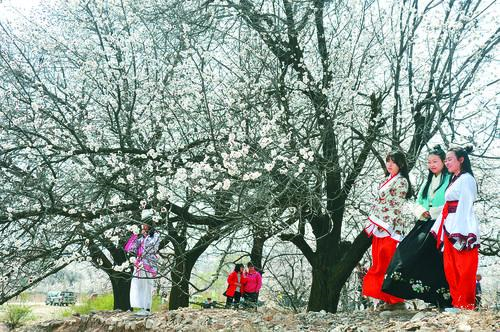 意昂5招商品牌形象图